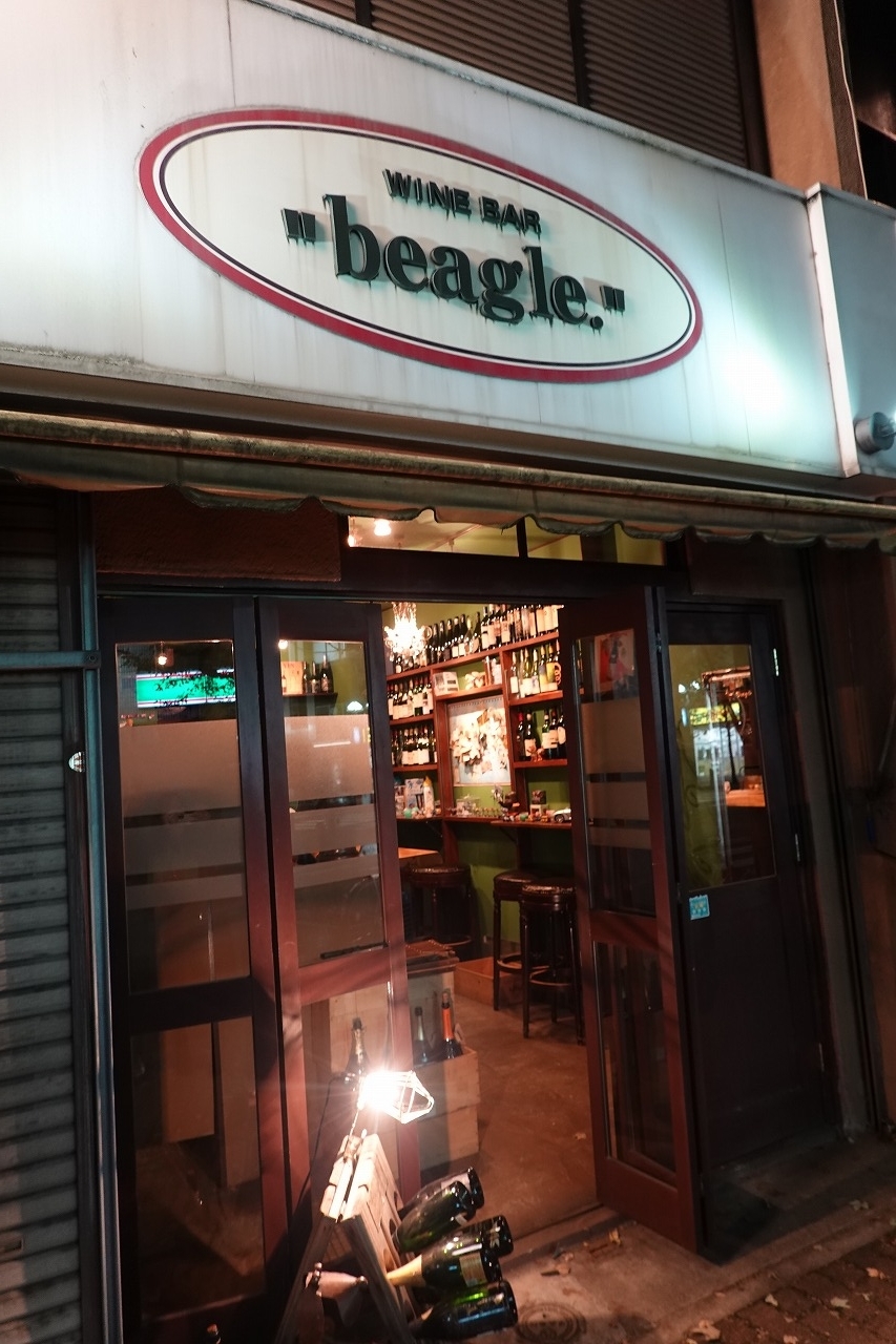 beagle001.jpg