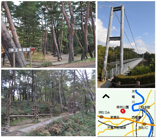 静岡県立森林公園マップ