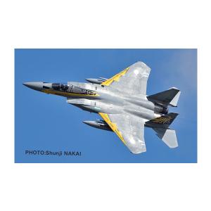 プラッツ 1/72 航空自衛隊 F-15J イーグル 小松基地航空祭2014 第306飛行隊 ゴールデンイーグルス 特別塗装機 プラモデル AC-69 