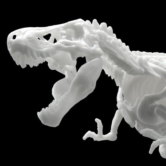 恐竜骨格プラモデル ティラノサウルス【２０２３年４月発…