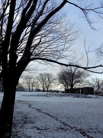 朝の雪景色2302
