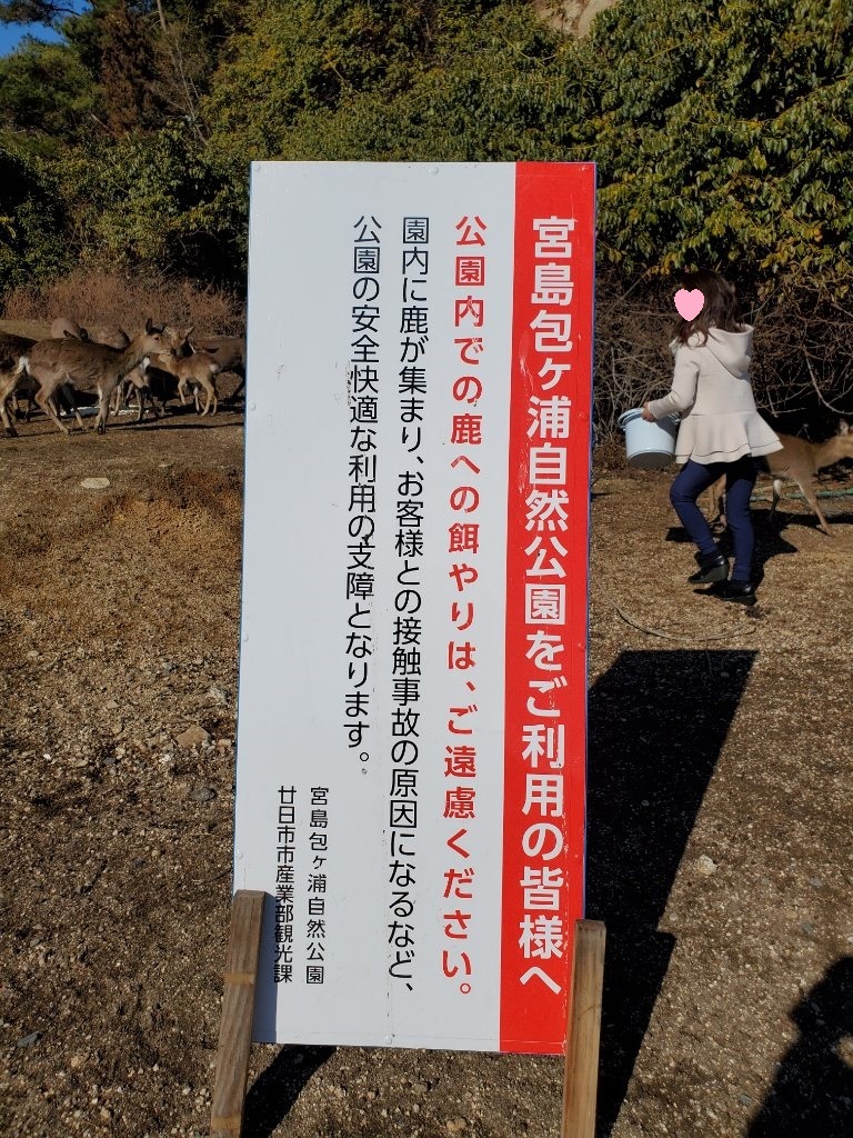 宮島６９包ヶ浦自然公園まで数キロ手前の鹿さんがいた場所に注意喚起の看板、美和さん、ごはんあげを頑張ってます