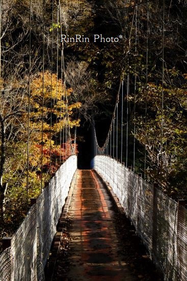 2022年10月西沢渓谷の釣り橋