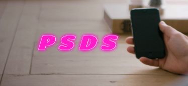 【PSDS】WARLOCK　BLEACHER INTERNET SERVICES INC 詐欺