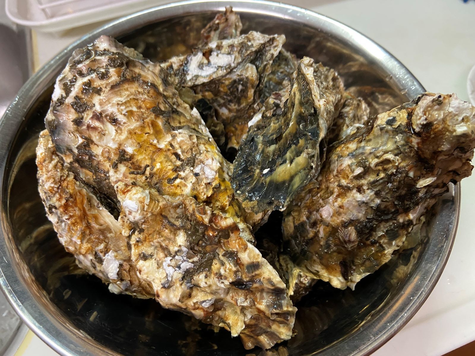 久美浜牡蠣