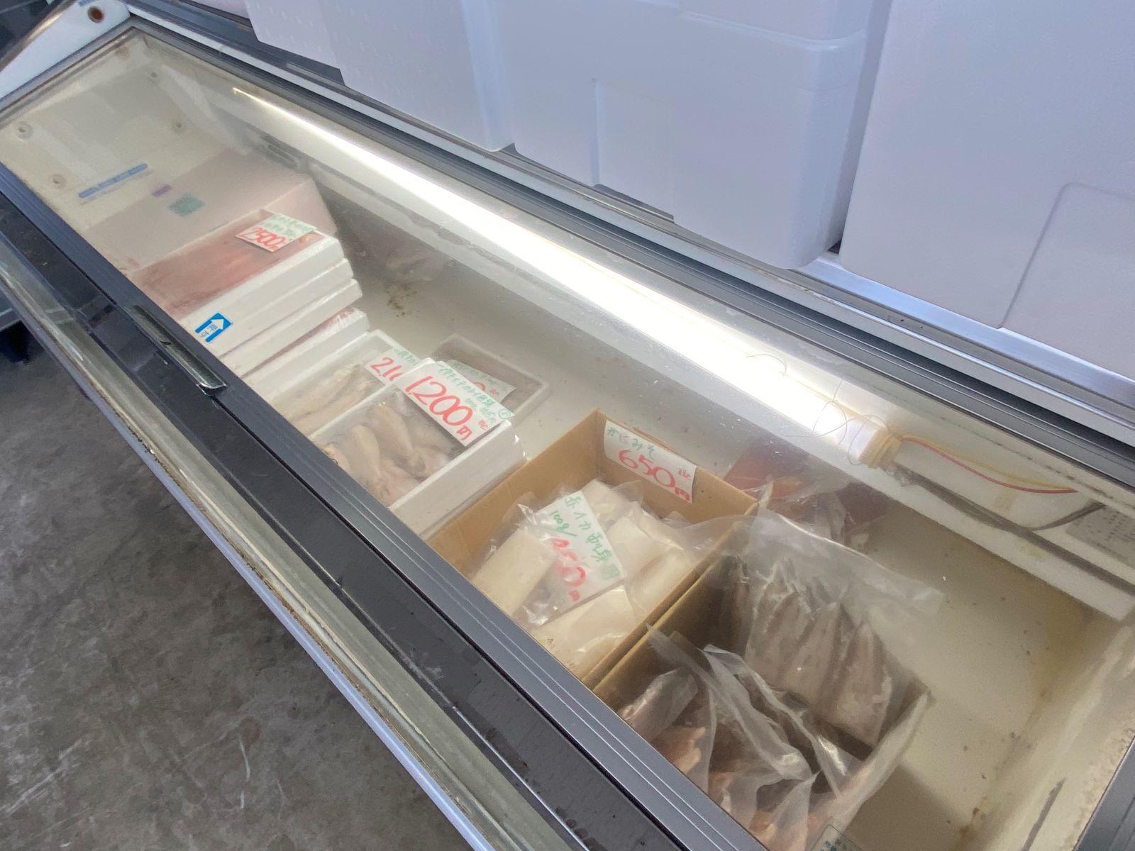 丸惣水産　冷凍庫