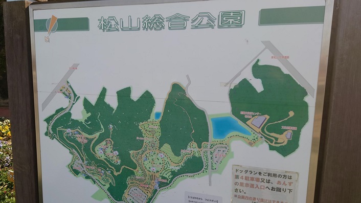 202301松山総合公園 (1)