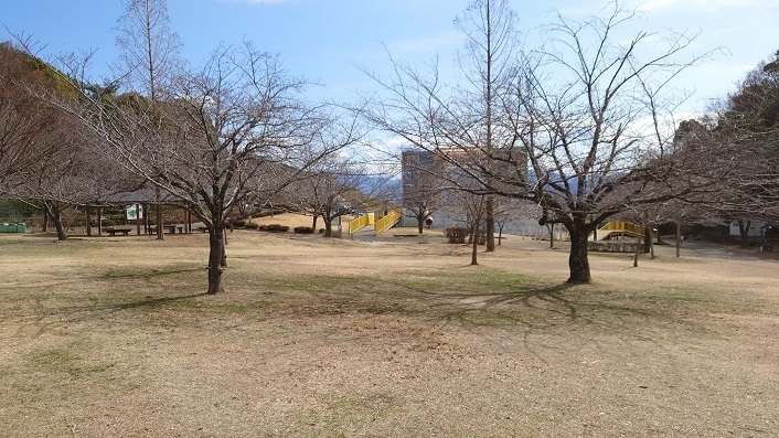202301松山総合公園 (3)