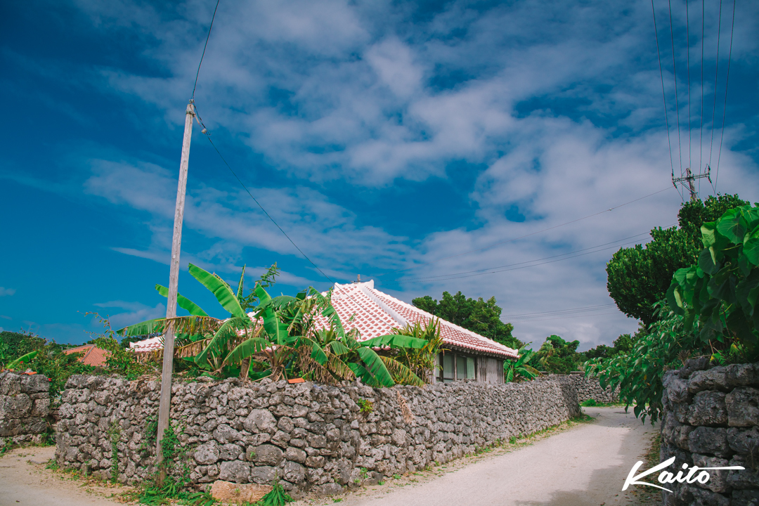 竹富島　1月の集落風景